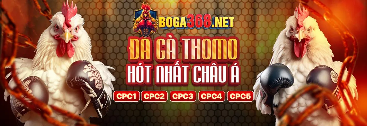 Đá Gà Trực Tuyến win198 - Sân Chơi Hấp Dẫn